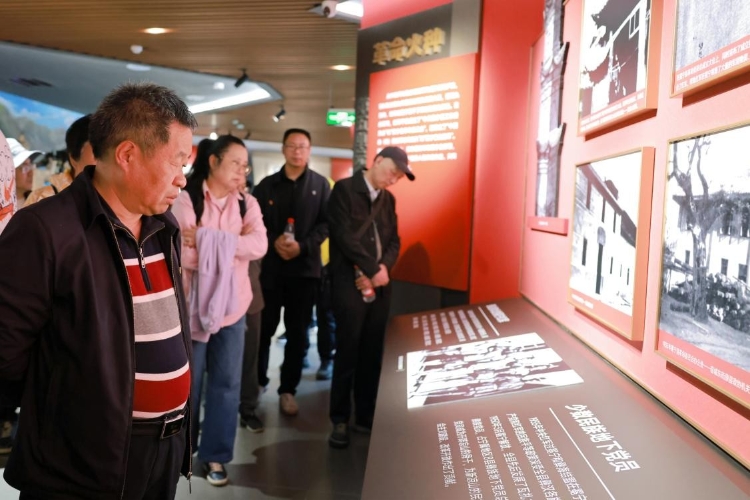 图片8