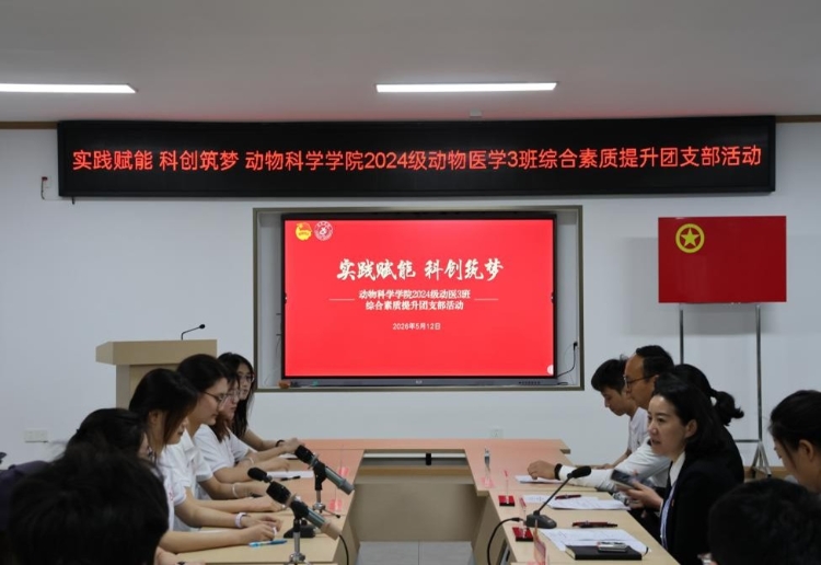 图片9