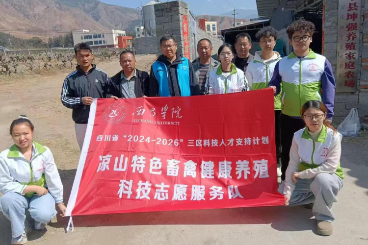 图片1 图片1