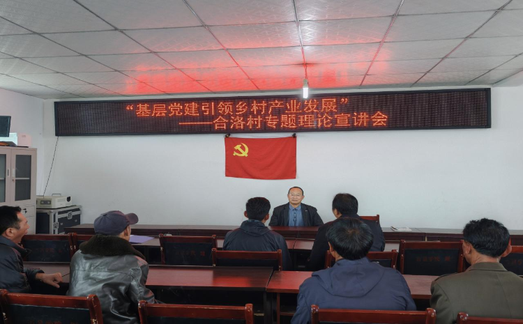 下乡1 下乡1