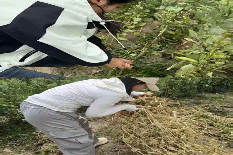 图片2_副本 图片2_副本