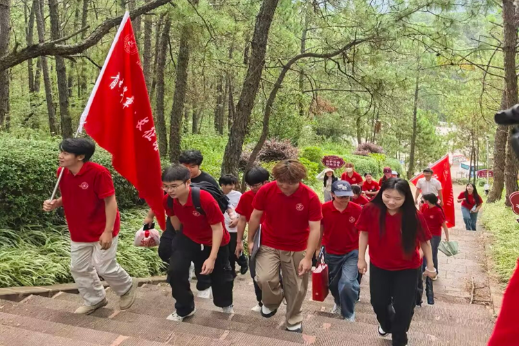 图片5 图片5