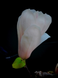 微信图片_20260331085221