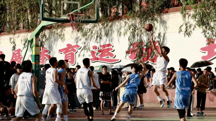 图片1