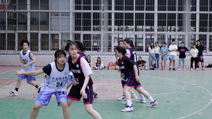 图片6