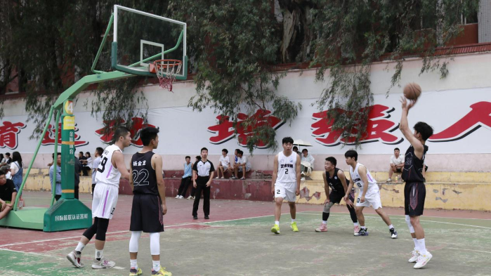 图片5