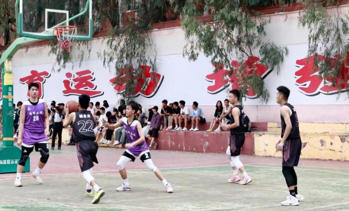 图片8