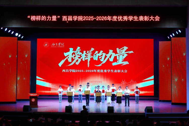 两红两优大场景 (4)_proc朱