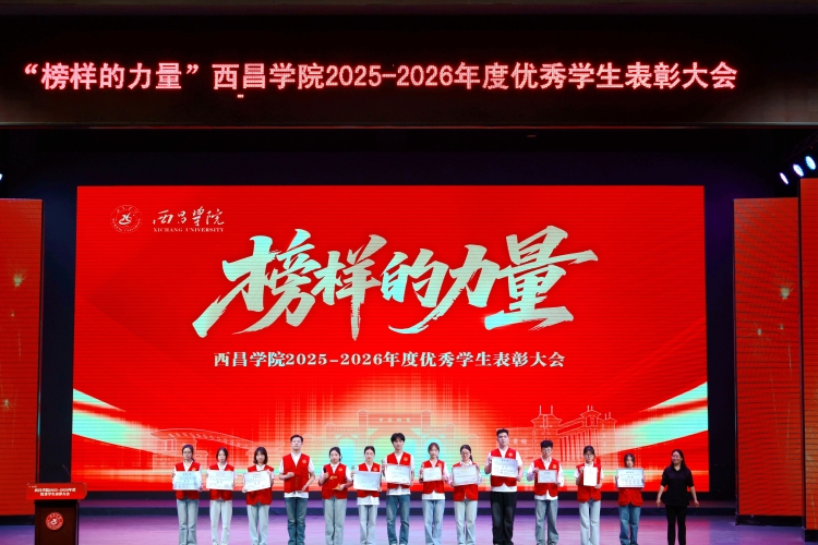 社会实践与志愿服务先进个体大场景 (2)_proc叶