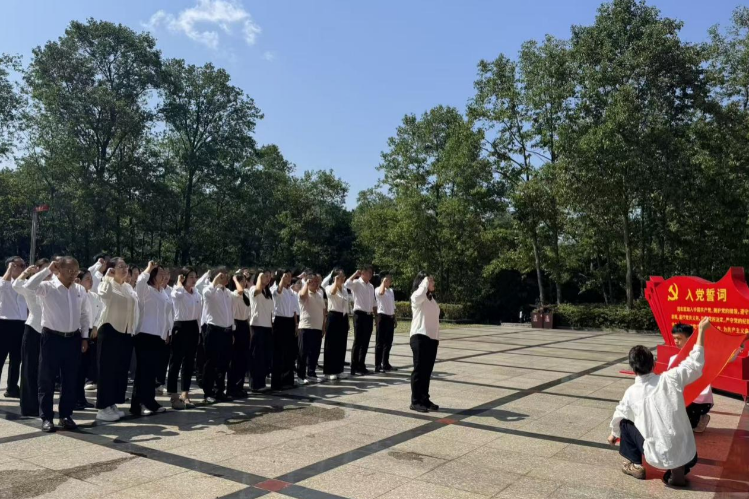 图片11 图片11