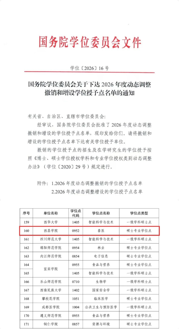 NeoImage_副本 NeoImage_副本