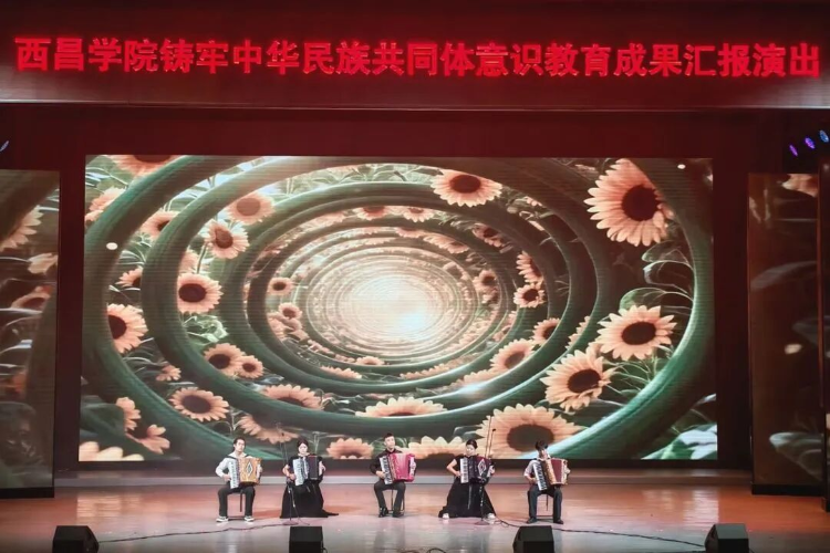 图片13 图片13
