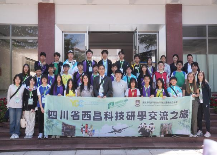 图片17 图片17