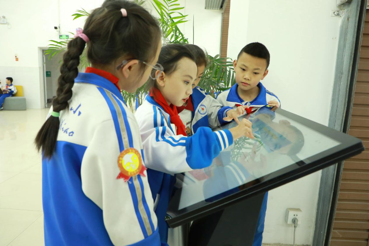 图片5 图片5