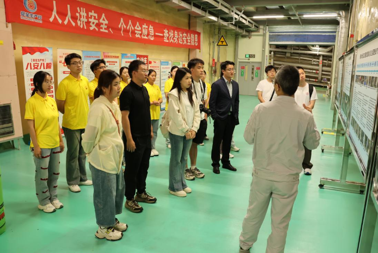 图片8 图片8
