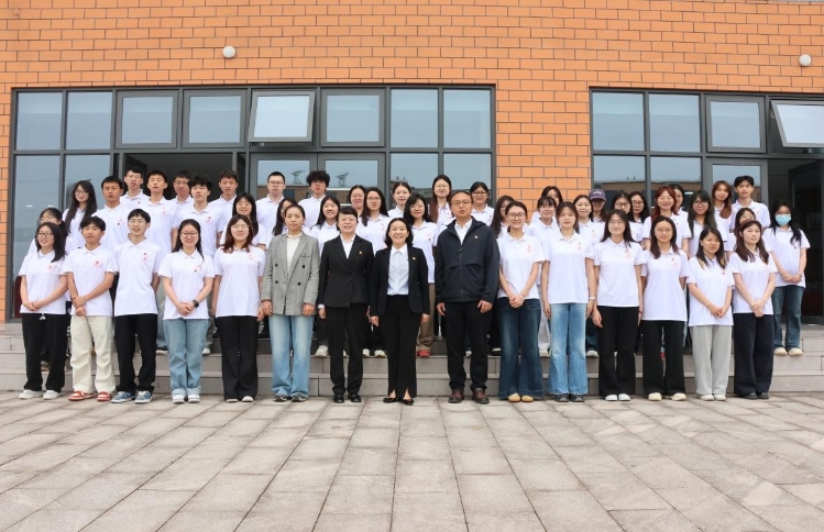 图片11 图片11