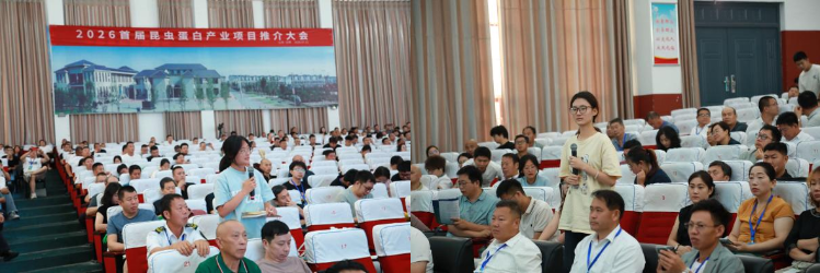 图片26