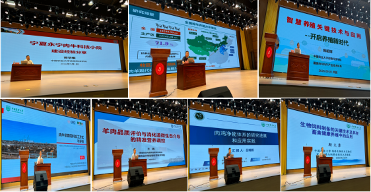 交流会图片2