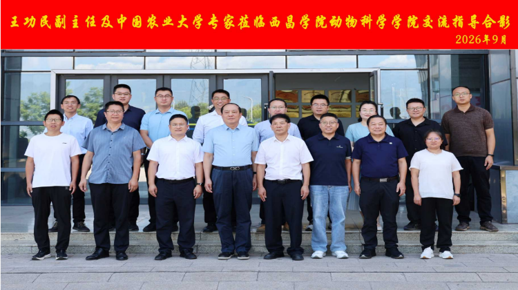 调研图片2