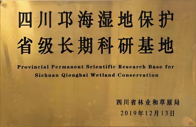 图片4 图片4
