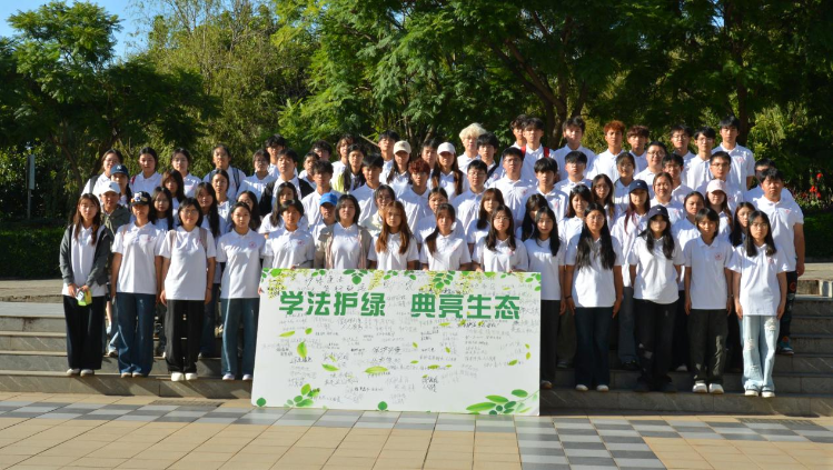 图片6 图片6