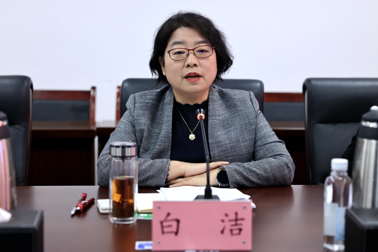 白洁 (1) 白洁 (1)