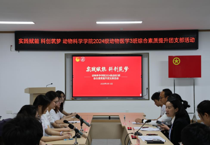 图片7