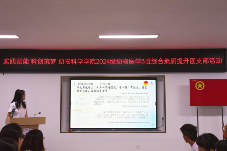 图片8