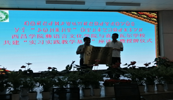 图片5