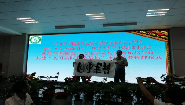 图片6