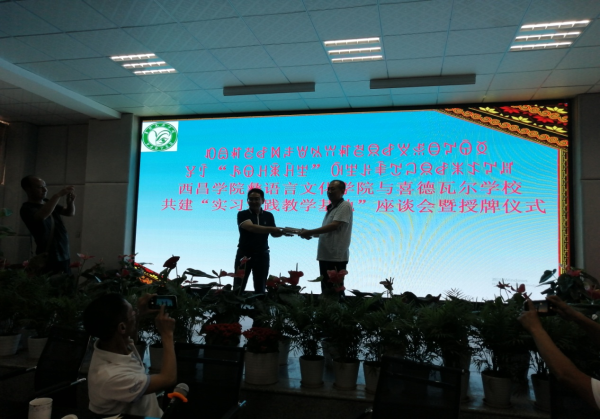 图片7