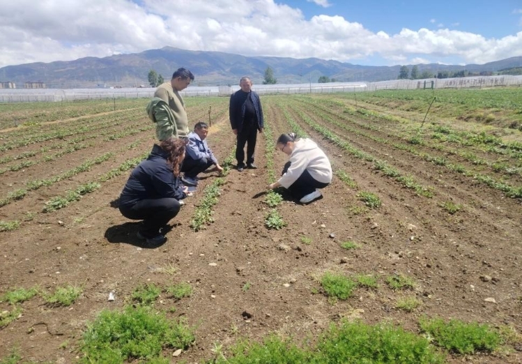 图片4 图片4