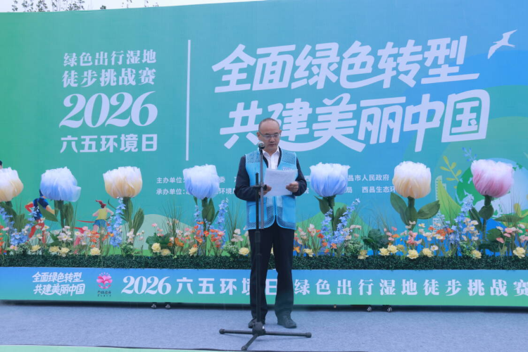 图片4 图片4